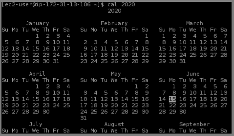 比較してわかる Linuxコマンド It職種コラム