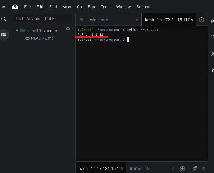 ターミナルでのpythonバージョン確認結果の表示例